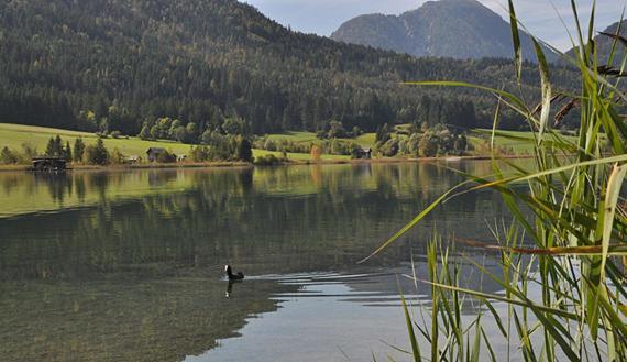 Haus Schluder - Familie Stanitzer Hotell Weissensee Exteriör bild
